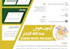 اینفوگراف آزمون هوش چندگانه گاردنر
