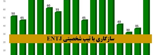 سازگاری تیپ شخصیتی ENTJ با دیگر شخصیت های MBTI