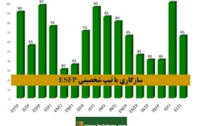 سازگاری تیپ شخصیتی ESFP با دیگر شخصیت های MBTI