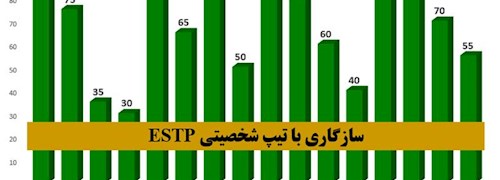 سازگاری تیپ شخصیتی ESTP با دیگر شخصیت های MBTI