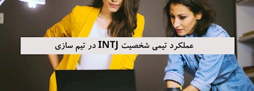 عملکرد تیمی شخصیت INTJ در تیم سازی