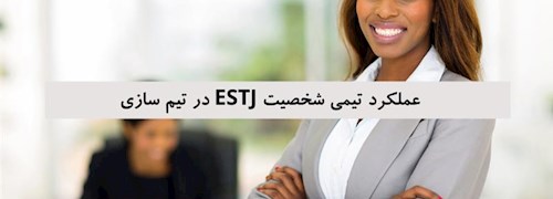 عملکرد تیمی شخصیت ESTJ در تیم سازی