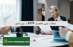 عملکرد تیمی شخصیت ESTP در تیم سازی