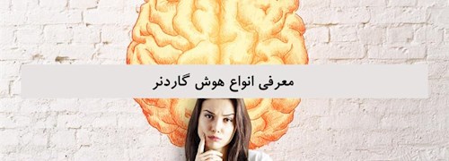 معرفی انواع هوش گاردنر