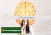 معرفی انواع هوش گاردنر