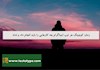 زمان کوچینگ هر تیپ اینیاگرام چه کارهایی را باید انجام داد و نداد