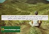 چه چیزهایی باعث می شوند که هر تیپ شخصیتی مایرز بریگز احساس آسیب پذیری کند؟ - قسمت سوم (تیپ های ESTJ، INFP، ISFP، و INTP)