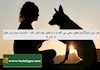 هر تیپ اینیاگرام چطور سعی می کند از دردهای خود فرار کند – قسمت دوم تیپ های 2، 3 و 4