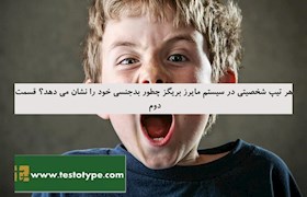 هر تیپ شخصیتی در سیستم مایرز بریگز چطور بدجنسی خود را نشان می دهد؟ قسمت دوم
