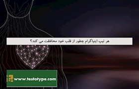 هر تیپ اینیاگرام چطور از قلب خود محافظت می کند؟