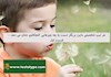 هر تیپ شخصیتی مایرز بریگز نسبت به چه چیزهایی کنجکاوی نشان می دهد -  قسمت اول
