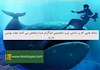نشانه هایی که بر اساس تیپ شخصیتی انیاگرام شما مشخص می کنند عقده یونس دارید