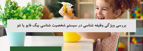 بررسی ویژگی وظیفه شناسی در سیستم شخصیت شناسی بیگ فایو یا نئو
