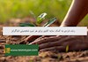 رشد فردی به کمک سایه کاوی برای هر تیپ شخصیتی انیاگرام