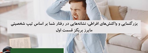 بزرگنمایی و واکنش‌های افراطی: نشانه‌هایی در رفتار شما بر اساس تیپ شخصیتی مایرز بریگز قسمت اول