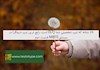 20 نشانه که تیپ شخصیتی شما ISTJ است، رایج ترین تیپ درونگرا در سیستم MBTI قسمت دوم