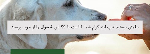 مطمئن نیستید تیپ اینیاگرام شما 1 است یا 9؟ این 4 سوال را از خود بپرسید