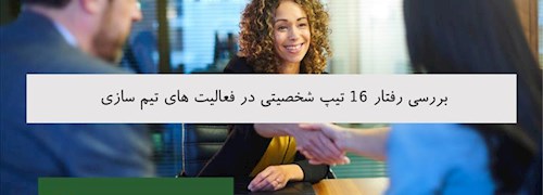 بررسی رفتار 16 تیپ شخصیتی در فعالیت های تیم سازی